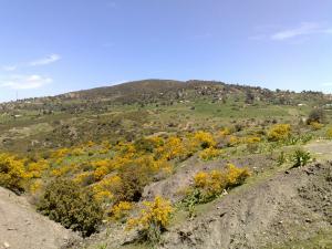 صورة من منطقة  عسول