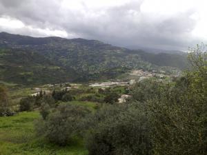 صورة من قرية  عشبو