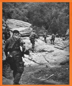 الشهيد البطل بلقاسم قرين