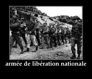 جيش التحرير الوطني