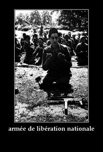 هجومات 20 أوت 1955