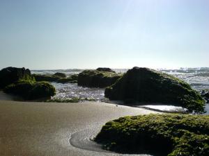Une Plage de Mostaganem