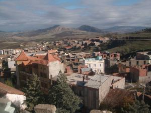 منظر شامل لمدينة 