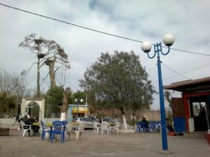 Un Café Populaire d'El Omaria