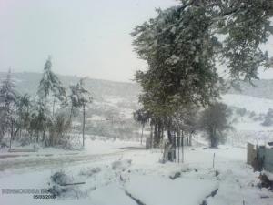 Neige sur les forêts de Ben Chicao