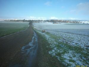 الثلوج تغطي حقول 