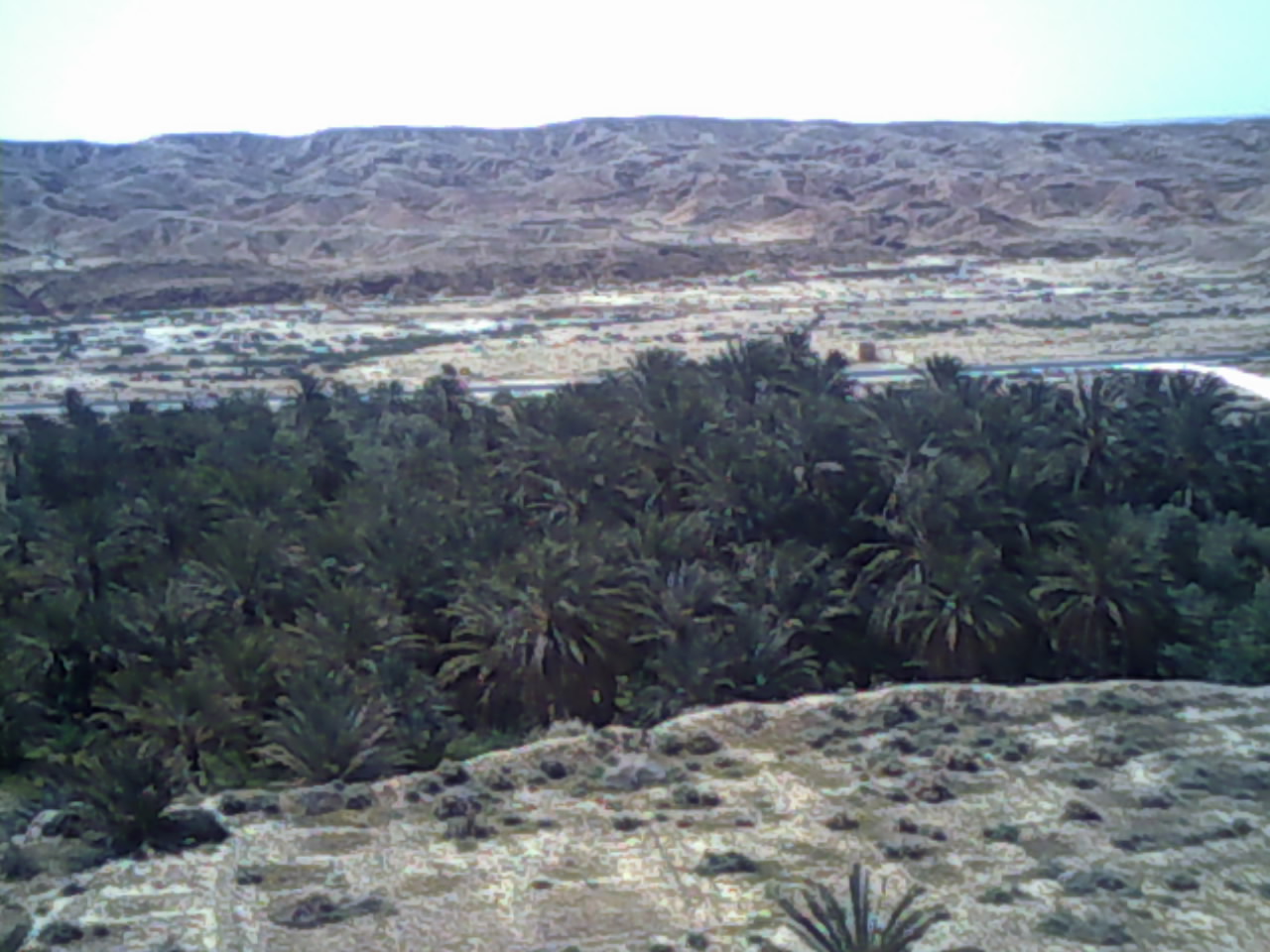 منظر من واحة النخيل المتواجدة جنوب مدينة 