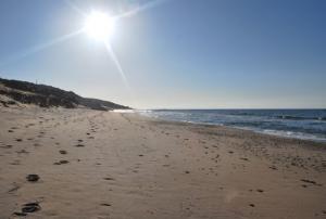 Une Plage Dorée de Mostaganem