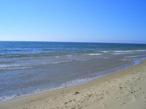 Plage  les Sablettes  sur la côte de Mostaganem