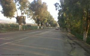 Route menant de Mostaganem à Mohammadia