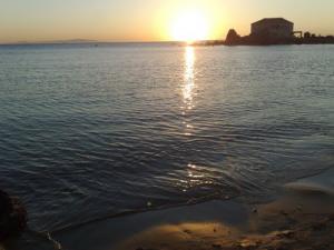 Mer Plate à la Plage  Les Sablettes
