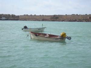 Port de Pêche Salamandre
