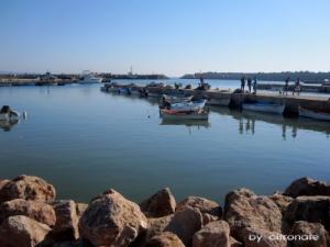 Port de Pêche sur la côte de Mostaganem