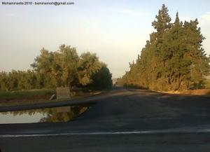 Branchement Mohammadia-Mostaganem -  Trigue el Hajra