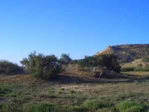 Prairies de Sidi Abdelkader (Commune de Achaacha)