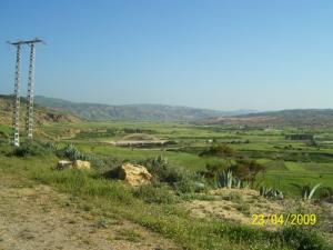 Verdure du Printemps à Mostaganem