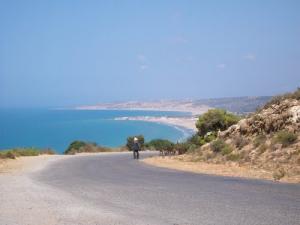 Paysage de la plage  Willis