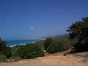 Verdure sur la Côte Ouillis