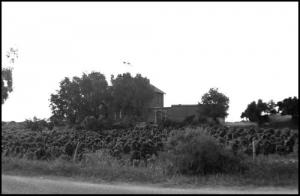 Maison Forestière (1960)