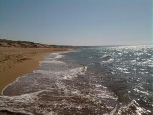 Une Plage de Mostaganem