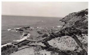 Vue sur la plage  Sidi Mansour  (Mostaganem)