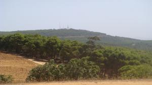 Verdure de Douar Smara au Printemps