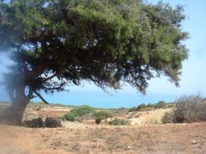 Paysage prés de la commune Abdelmalek Ramdane