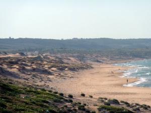 Vue sur la plage  Les Sablettes