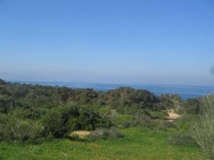 Près de Stidia, Chemin de Randonnée