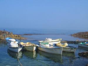 Petit havre naturel sur la côte de Mostaganem