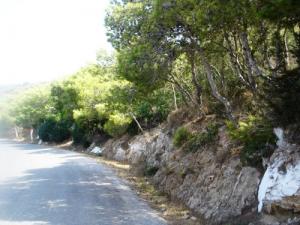 Paysage prés de la commune Abdelmalek Ramdane