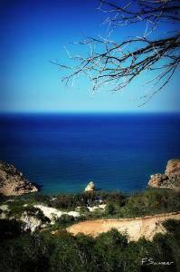 صورة لشاطئ  الموسكاردة  (ولاية تلمسان)