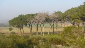 Parc Naturel  El Oued  (Commune de Souaflia)