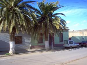 Rue du Premier Novembre en Face du Marché (Wilaya de Mostaganem)