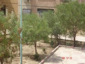 Cité des 128 Logt à Msila