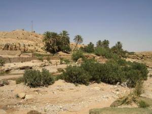 L'oued de Bou-Saada