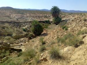 La Région de Ain Messaoud à Msila