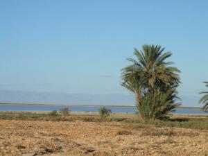 Paysage de la commune de Khoubana (Wilaya de Msila)