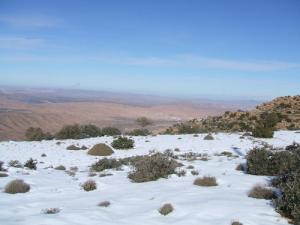 El Hamel vu des Djebels Ezzarga ( Monts Bleus )