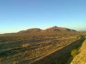 Champ Agricole aux alentours de Msila