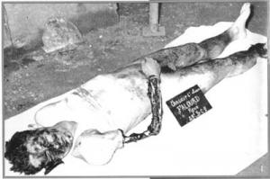 جرائم فرنسا بالجزائر 1954 /1958م