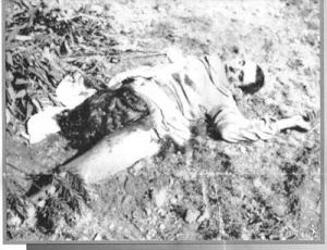 جرائم فرنسا بالجزائر 1954 /1958م