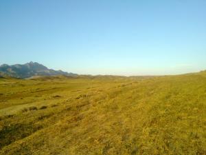Les champs de Msila après la Moisson