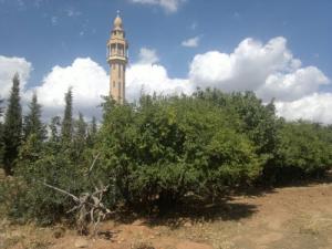Mosquée de Ouled Sidi Yahia à Dehahna