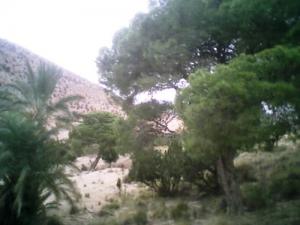 Aux alentours de Msila