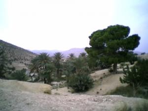 Paysage de Bousaada
