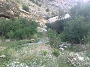Petit cour d'eau traversant la verdure de Ben S'rour