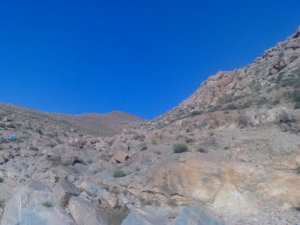 شيحاني بشير