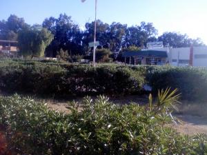 Cité des 300logts à M'sila