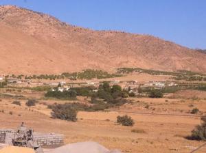 La Culture d'Olives à M'sila